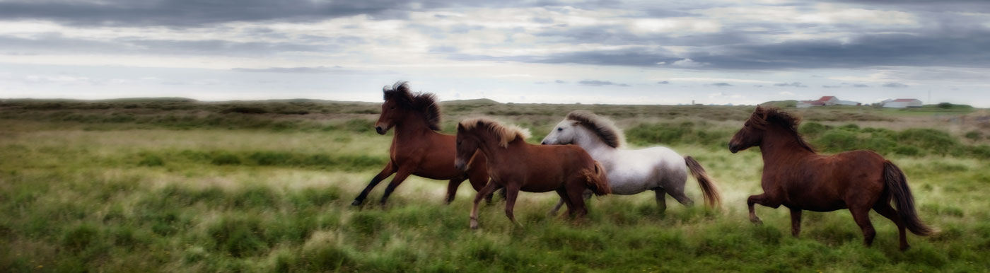 Iceland